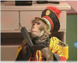 DVD machine version [Monkey Detective Long And Grand Theft] (Animal Kingdom Theft Monkey Detective Probe) full episode 1 disc