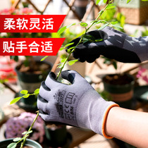 Gardening gloves Stab-proof waterproof flower arrangement flower artist special gloves Monthly tie digging soil garden vegetable gloves