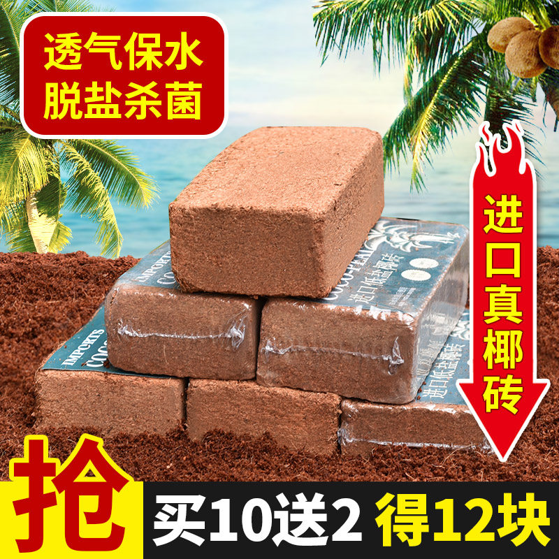 Imported coconut brick succulent nutritious soil household flower potted general-purpose flower plant flower fertilizer coconut bran planting soil
