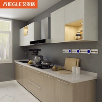 Aiyger modern kitchen cabinet custom integral quartz stone countertop storage hanging cabinet whole house sincerity gold