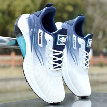 Outlet 2024 New Ice Silk Mesh Sports Shoes Mens Light Sole Anti-Slip Running Shoes Soft Sole Casual Dad Shoes
