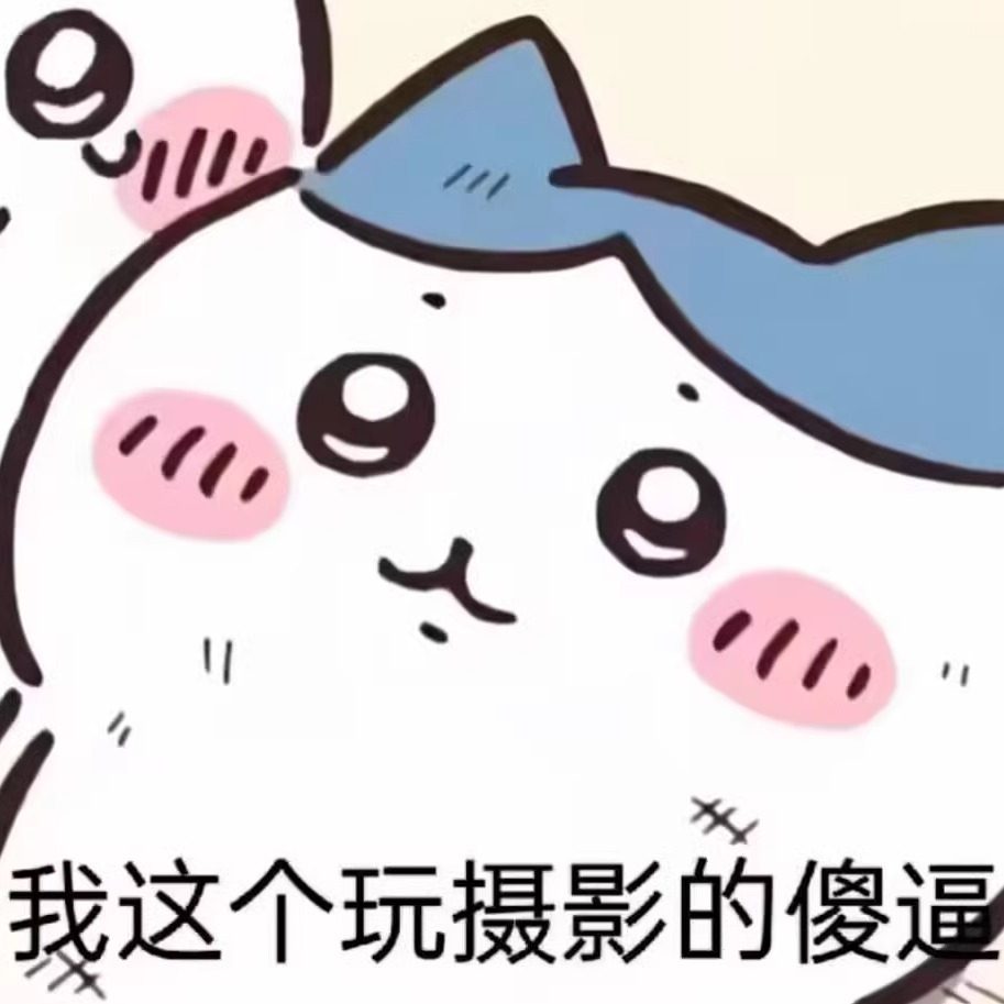 白山茶摄影耗材的LOGO