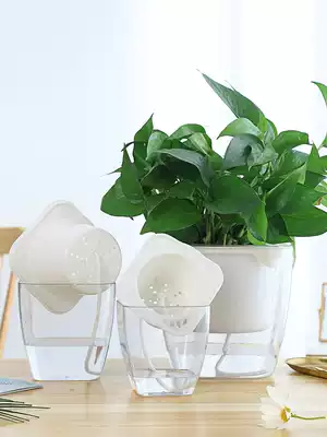 Golden Ge plant flowerpot office living room desktop green plant transparent lazy flowerpot pot Basin no watering water storage flowerpot