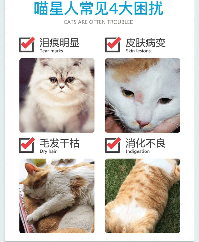 康 猫粮 thức ăn theo toa chó cưng nấm nấm bệnh da thuốc uống chó dog mèo nội khoa - Cat / Dog Medical Supplies