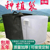 Non-woven fabric tree planting bag rectangular planting bag plant green building top round thickened beauty planting bag nutrition gardening
