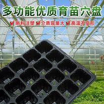 Thickened seedling nursery tray Vegetable Soil Breeding Tray Multifunction Chili Multimeat Vegetable Breeding seedlings Transplanting Seedlings