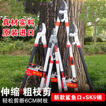 Fruit tree prunes cutting and sawing bonsai labor-saving powerful gardening whole branches cutting branches scissors with high pole long pole tree scissors