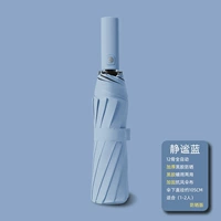 Увеличьте двойной 12 костей автоматически-виниловый зонтик-квиут-синий