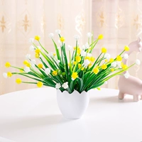 Full Sky Milan Flower Huangbai