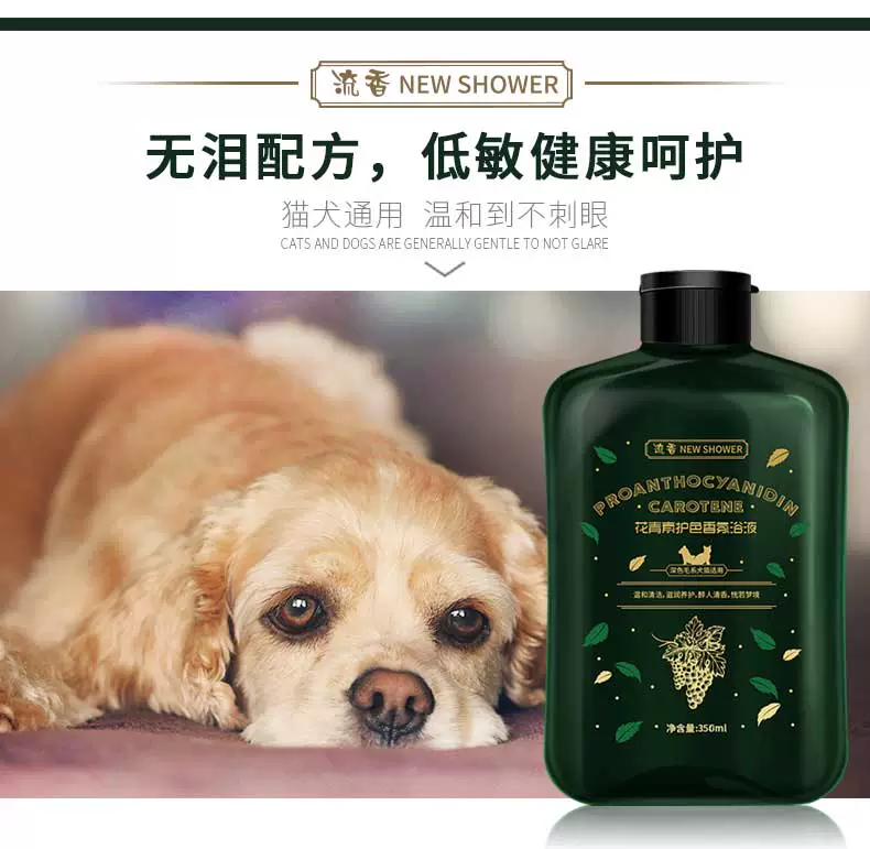 Pet khử trùng đặc biệt khử mùi sữa tắm mèo chó phổ quát Golden Retriever hơn gấu cung cấp dầu gội tắm chất lỏng - Cat / Dog Beauty & Cleaning Supplies