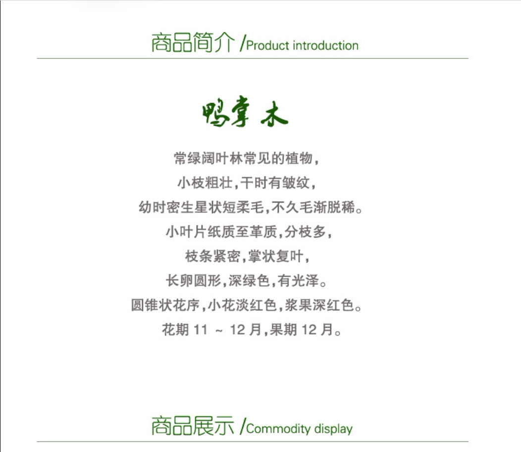 详情图