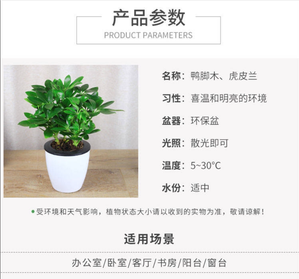 详情图
