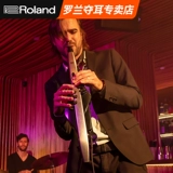 Roland AE10 модернизированный тип, выдуваемая труба Электронная саксофон AE20 Электронная звуковая трубка Черная труба Новая флейта AE30