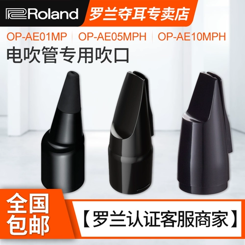 Roland AE-10 Blowing Toober Pibe Pipe Fib Flute Head Ae-05 Tub