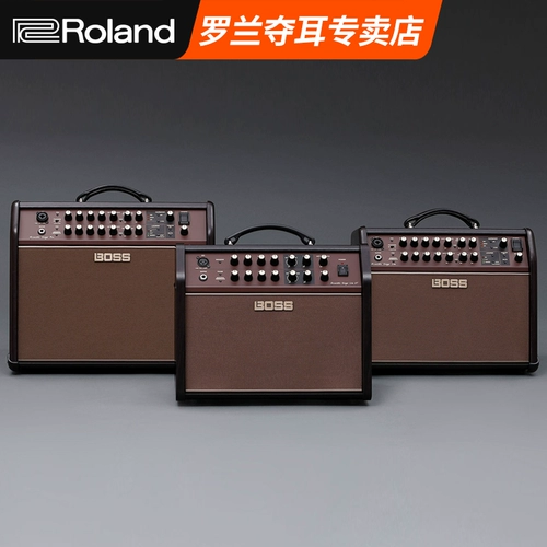 Roland Boss ACS Acoustic Singer Live/Pro Guitar Electric Box Mandarin фортепиано пианино