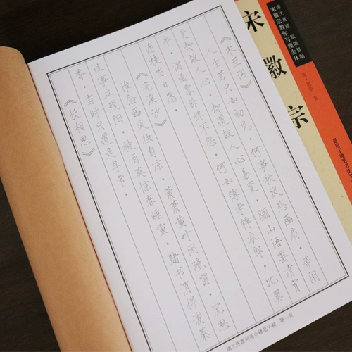 Советы по написанию золота Стальные слова Stroke Strive Pen Beginner