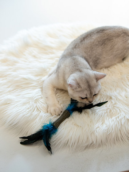 GiGwi贵为猫咪玩具自嗨解闷耐咬磨牙猫薄荷草羽毛逗猫棒宠物玩具