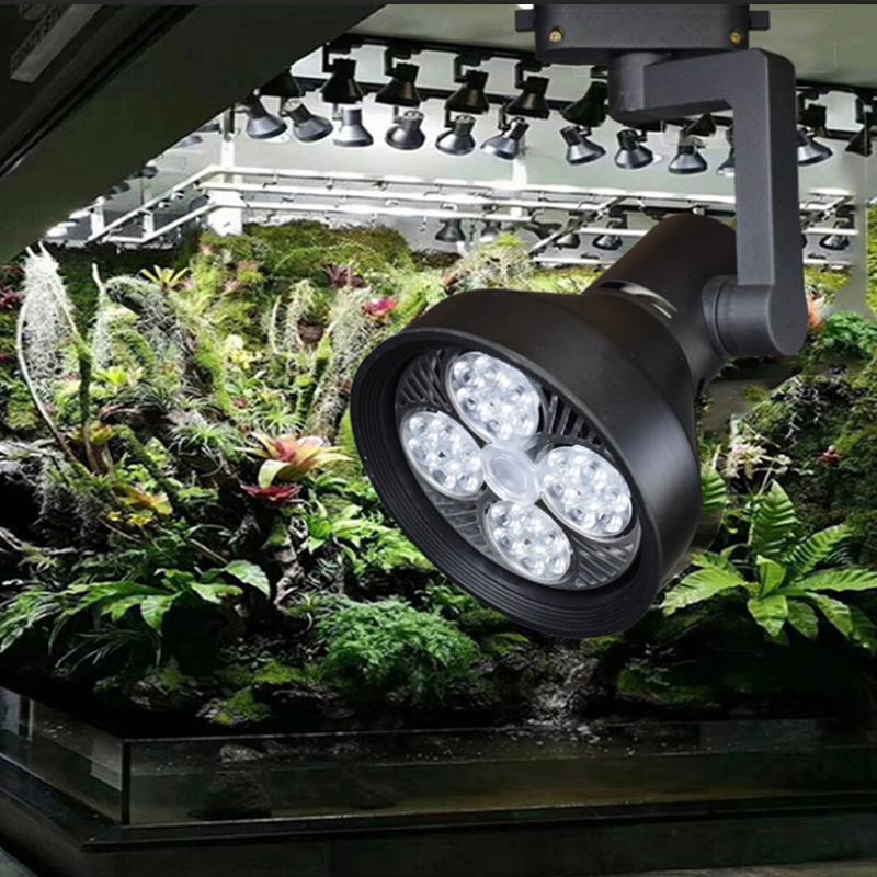 Plant Growth Spotlight, Rainforest Tank Special Lighting for Flowers, Indoor Ecological Landscaping, Full-Spectrum Sun-Like Track Fill Light