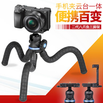 Octopus tripod outdoor travel winding selfie live tripod micro single photography mobile phone winding stand