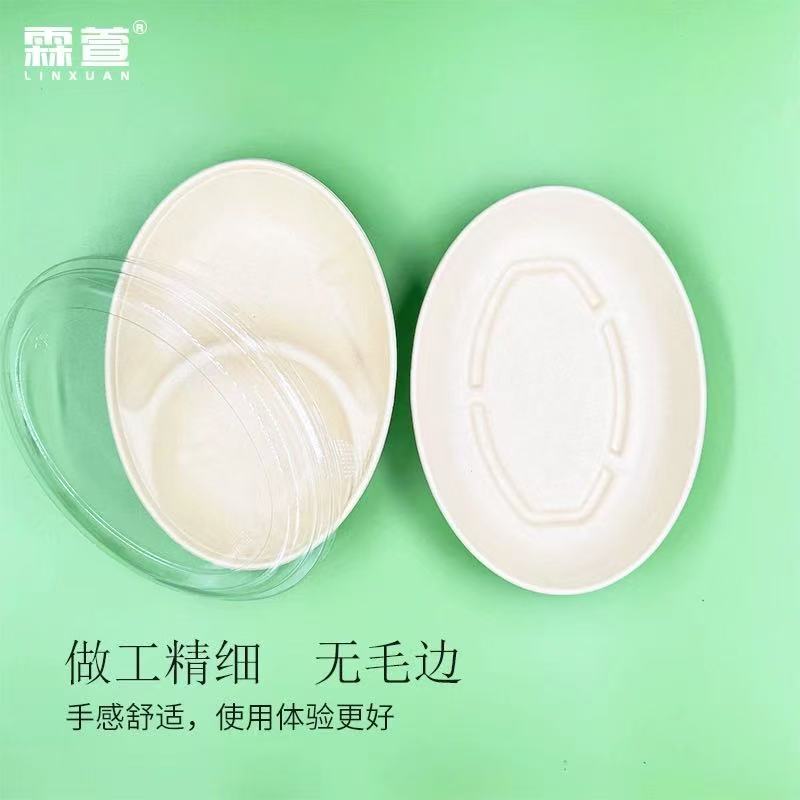 Disposable Oval Lunch Box, Biodegradable Light Meal Salad Box, Pulp Eco-Friendly Bento Box, Dinner Plate