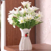 Access bai hua refrigerator I put all the decoration flower decoration decoration shoe air conditioning top flowers flower