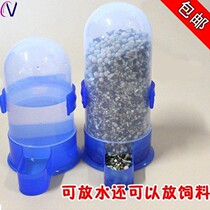 Blue-breasted quail drinking fountain Automatic water kettle supplies Parakeet feeder feeder Bird food box trough