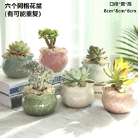 6 кусочков сочных горшков сетки