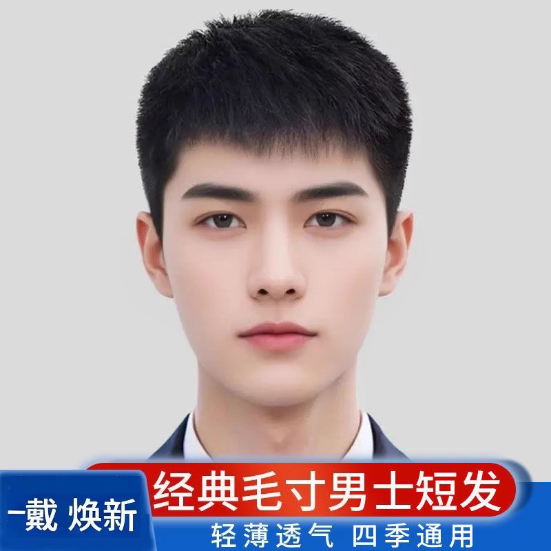 Men's Short Hair Wig, Full Real Hair, Full Head Wig, Men's Hairpiece, Stylish, Natural, Fluffy, Breathable, Realistic