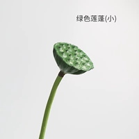 Зеленый лотос Puff (маленький)