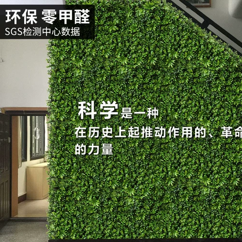 Наружное симуляционное растение Стена зеленое зеленое псевдо -грасс -настенное украшение милан