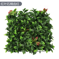 Красный листовой зуб красный [50*50 см] пленка