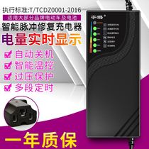 General Aima Shutdown Ultra Vibe 48V12AH60V72V20AH35A Jadi Battery Charger Automatic Electric Car