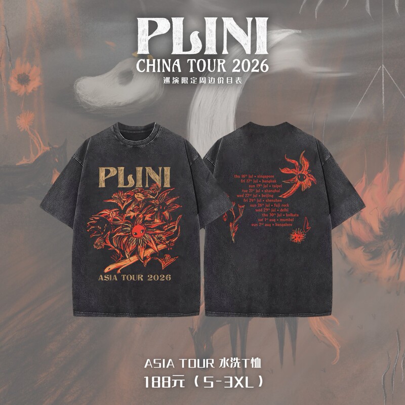 Plini Australian Avant-Garde Metal Guitarist China Tour Limited Edition Vintage Washed T-Shirt Tour