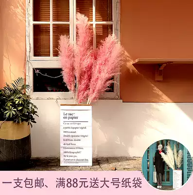 Pink Reed dry flower big spike floor vase natural dry flower big Reed dry flower Net red Reed dry flower decoration