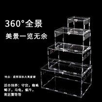  Hermit crab feeding box Small novice lazy reptile landscaping pet box set Special tank house villa supplies