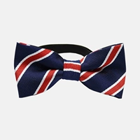 Тибетский синий, красно-белый щенк