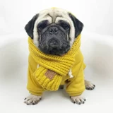 Демисезонный удерживающий тепло шарф, милый аксессуар