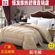 Hengfa Home Textiles Camel Hair Quilt Winter Quilt Core Warm Quilt Core Single and Double Wool Quilt Winter Camel Hair Quilt