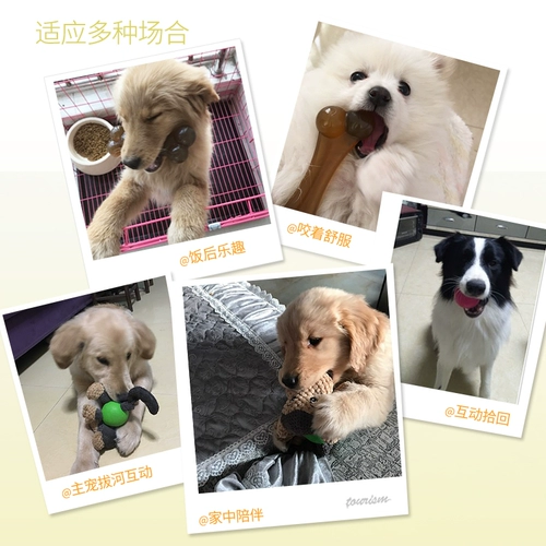 Игрушка для любителей собаки, щенки щенков кусочки щенка