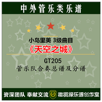 GT205 City of Heaven symphony orchestral ensemble of the total spectrum of the spectrum mp3 (level 3) Tube orchestra