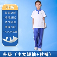 Футболка с обновлениями девочек + модернизированные маленькие осенние брюки