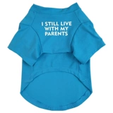 Собачья одежда кошка лето тонкая бикн лучше фанат летний щенок домашний домашний животный питомец Корки Тедди -кошка весна и осень осенью кошки