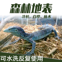 Crawling world forest floor mat crawling pet mat reptile mat turtle lizard snake deodorizing mat