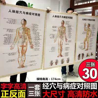 Traditional Chinese medicine propaganda human body Meridian acupoint map physiotherapy health wall chart acupuncture hole map Chinese medicine human Meridian hole map human Meridian acupoint map human Meridian hole map body body human blood position map custom zw