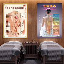 Traditional Chinese Medicine Health Preservation Hall Decoration Painting Spine Related Diseases Wall Chart Five Viscera Publicity Advertising Poster Wall Stickup Painting