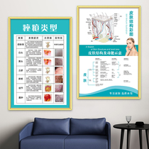 Facial skin chart Decorative Painting Beauty Salon Skin Problem Stickers Dispel mole Dispatches Acne Stain