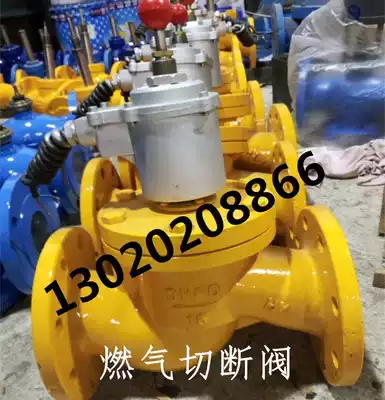 ZCRB gas explosion-proof emergency shut-off valve Gas gas leak alarm valve Solenoid valve 65 DN40 200