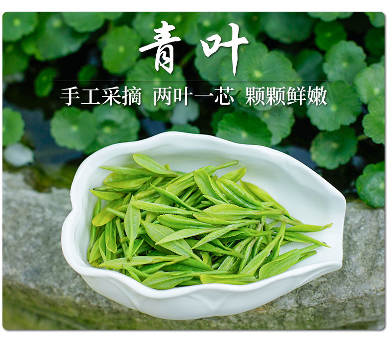 地理标志认证 聚呈 雨前狮峰龙井茶 250g 赠保温杯 图7