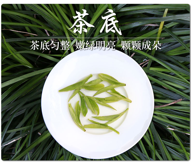 聚呈 狮峰西湖龙井茶 2019明前特级 250g 图12