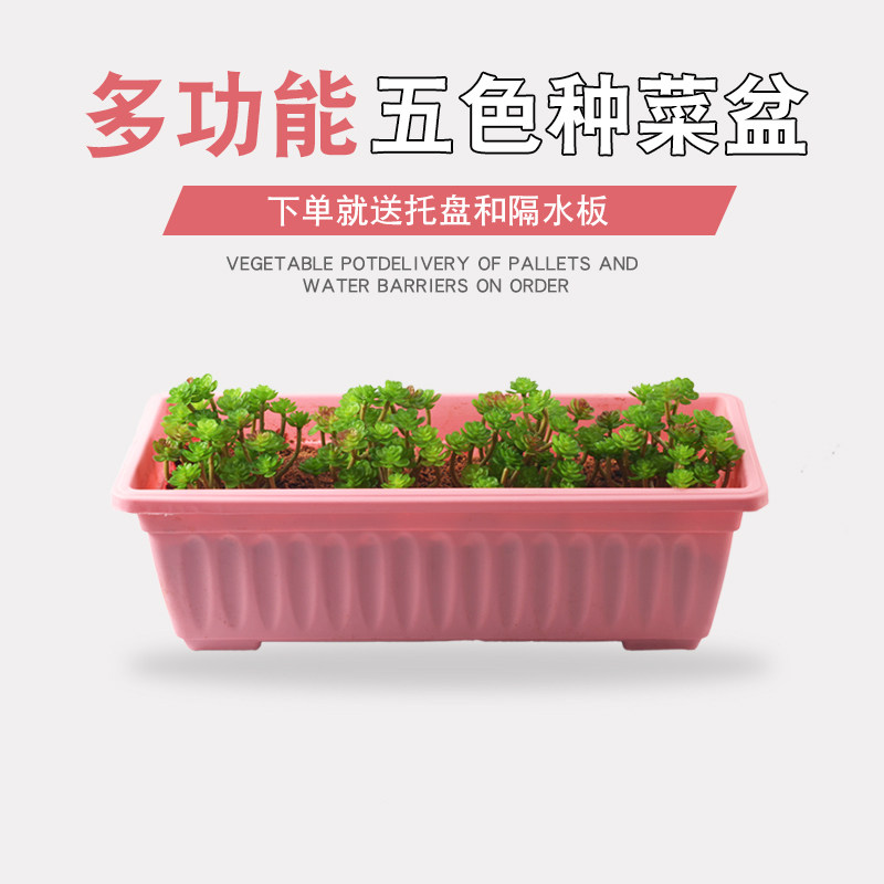 Balcony Species Vegetable Basin Home Potted Plant Rectangular Large Variety Vegetable Basin Multi-Meat Plant Thickened Creative Plastic Flower Pot